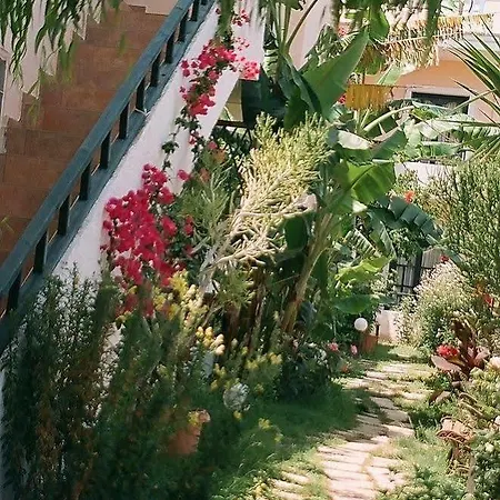 Dioskouroi Apts Aparthotel Agia Pelagia (Creta)